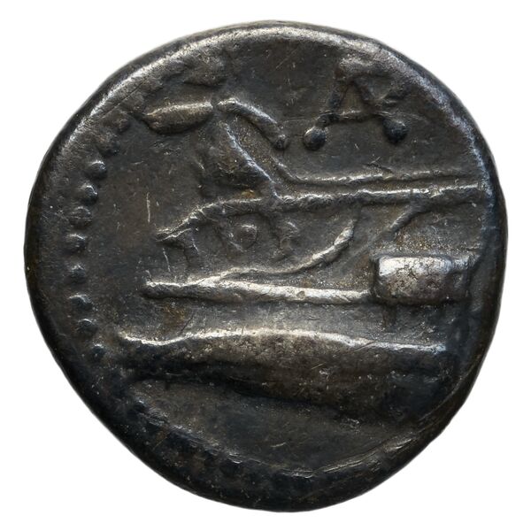 Aradus Duyrat 2005 1455-1557, реверс, bnf-iris