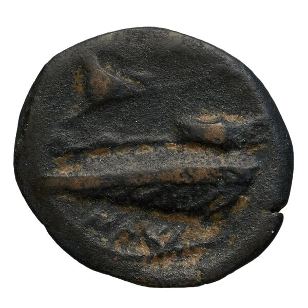 Aradus Duyrat 2005 1357-1454, реверс, bnf-iris