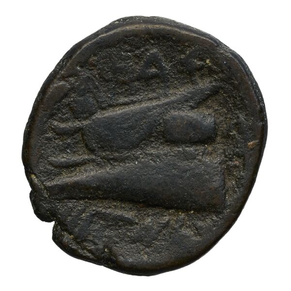 Aradus Duyrat 2005 1357-1454, реверс, bnf-iris