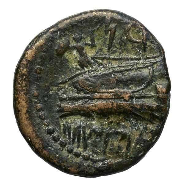Aradus Duyrat 2005 4228-4381, реверс, bnf-iris