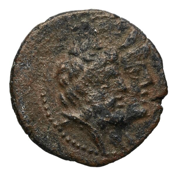 Aradus Duyrat 2005 4228-4381, аверс, bnf-iris