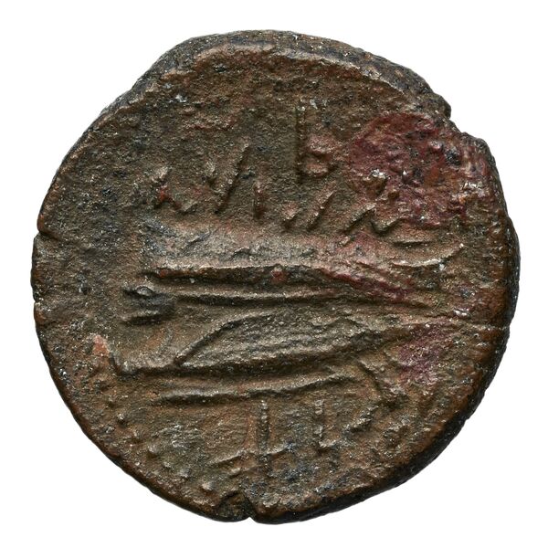 Aradus Duyrat 2005 4228-4381, реверс, bnf-iris