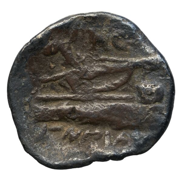 Aradus Duyrat 2005 1455-1557, реверс, bnf-iris