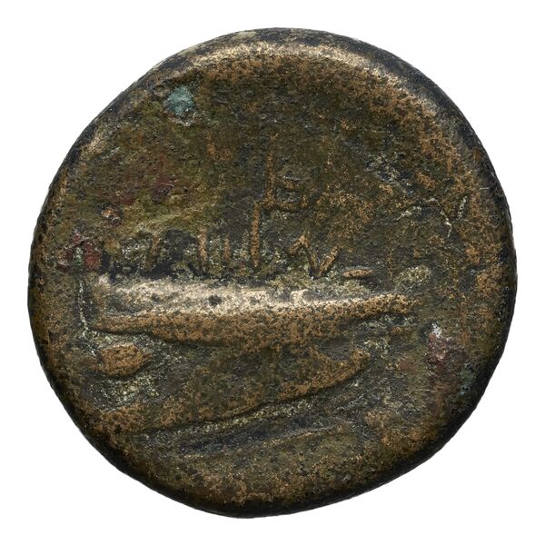 Aradus Duyrat 2005 4228-4381, реверс, bnf-iris