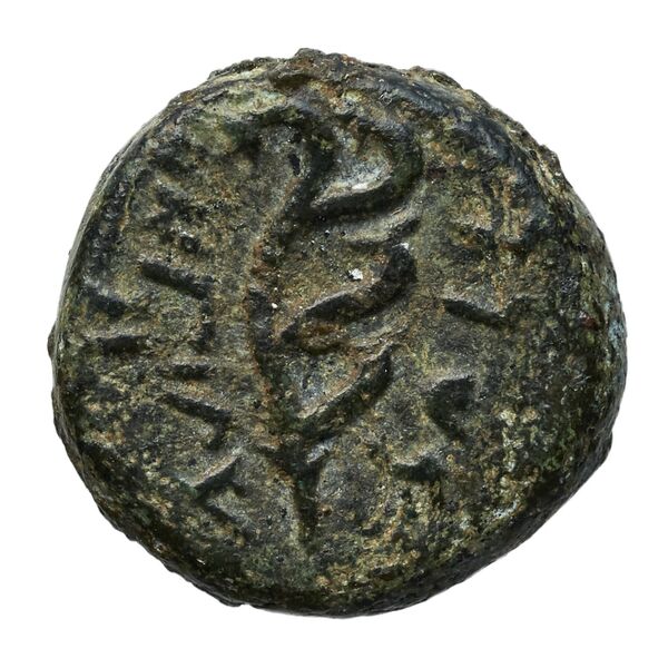 Aradus Duyrat 2005 2495-2572, реверс, bnf-iris
