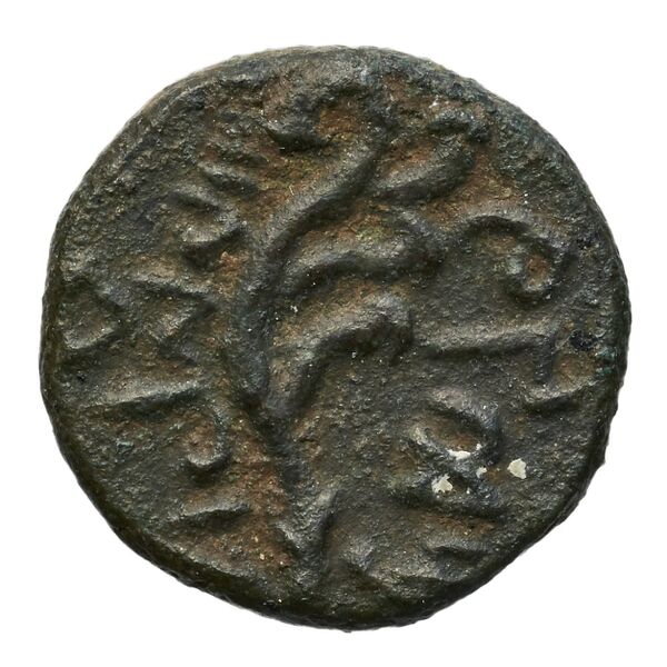 Aradus Duyrat 2005 2495-2572, реверс, bnf-iris