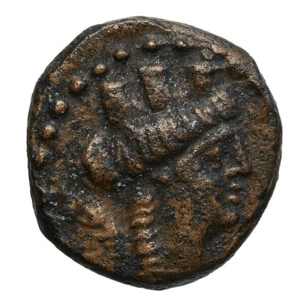 Aradus Duyrat 2005 2495-2572, аверс, bnf-iris