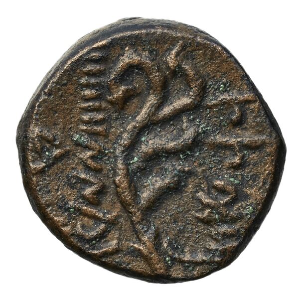 Aradus Duyrat 2005 2495-2572, реверс, bnf-iris