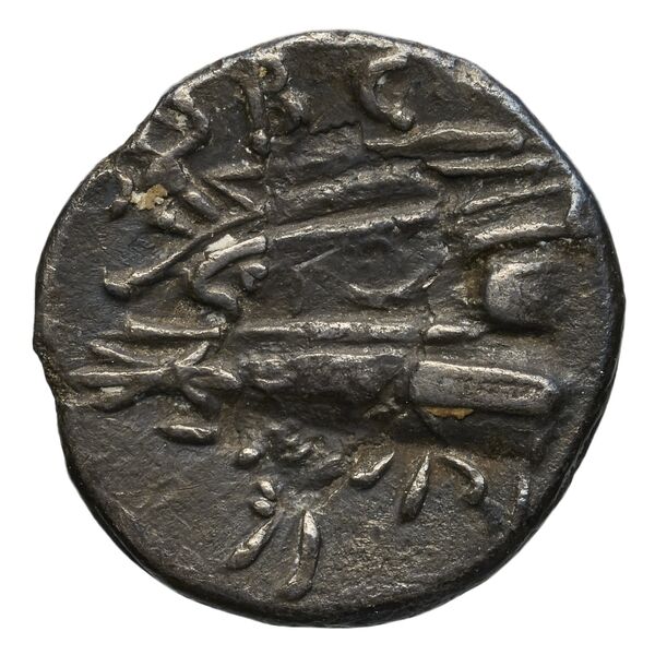 Aradus Duyrat 2005 1455-1557, реверс, bnf-iris