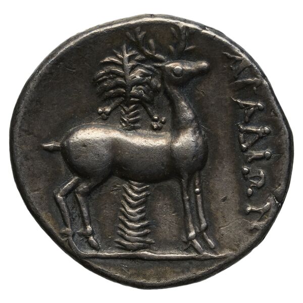 Aradus Duyrat 2005 2573-3009, реверс, bnf-iris