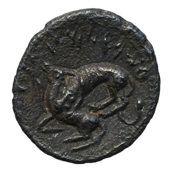 реверс Aynel, King of Byblus Byblus Elayi 2014 IV.4.2