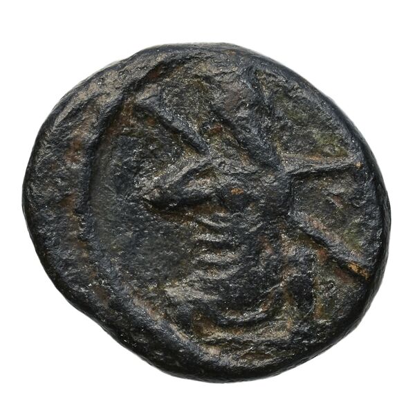 Sidon Elayi 2004 IV.7.7, аверс, bnf-iris