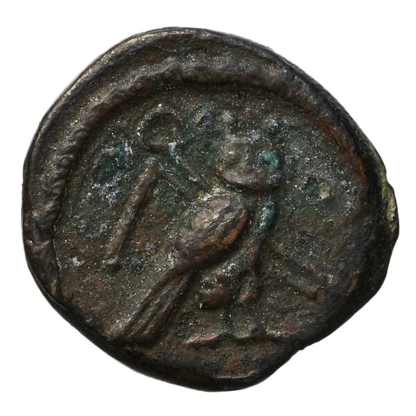 Tyre Elayi 2009 II.1.1.3, реверс, bnf-iris