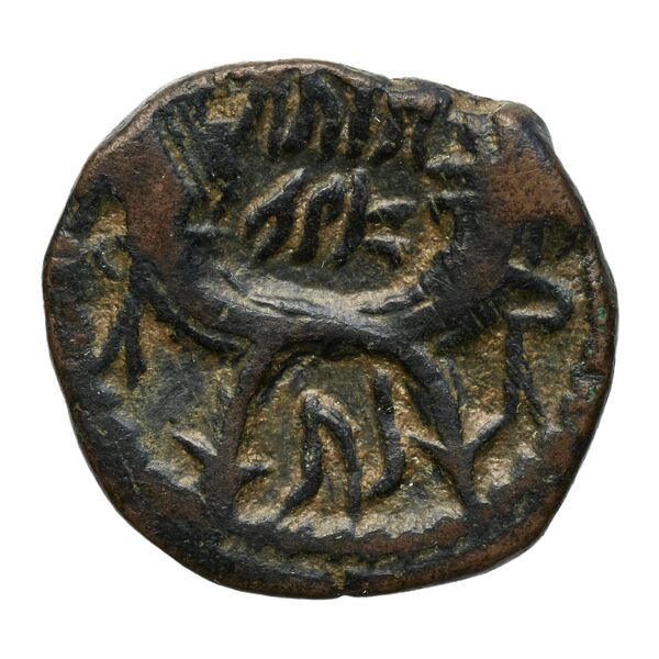 Aretas IV of Nabataea Petra Barkay 2019 186, 188, реверс, BnF (IRIS)