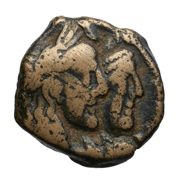 Rabel II Soter of Nabataea Petra Barkay 2019 224, 235-6, аверс, BnF (IRIS)