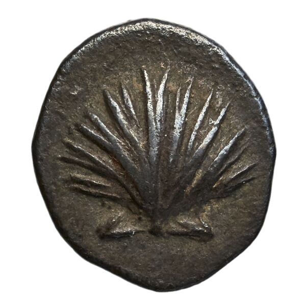 Taras Historia Numorum Italy 980, аверс, BnF (IRIS)