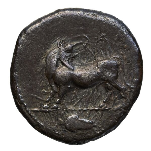 Laüs Historia Numorum Italy 2277, аверс, BnF (IRIS)