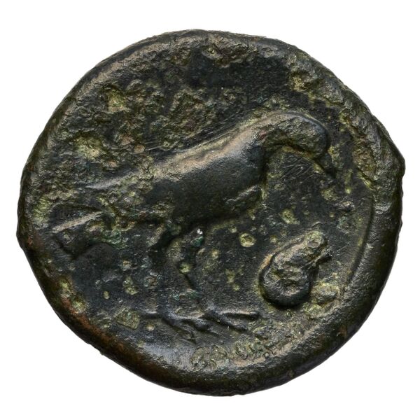 Laüs Historia Numorum Italy 2289-96, реверс, BnF (IRIS)
