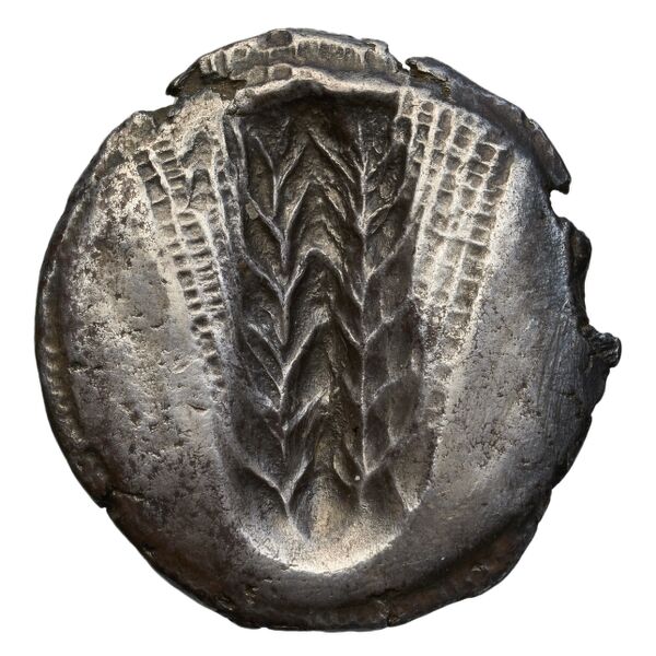 Metapontum Historia Numorum Italy 1482-3, реверс, BnF (IRIS)