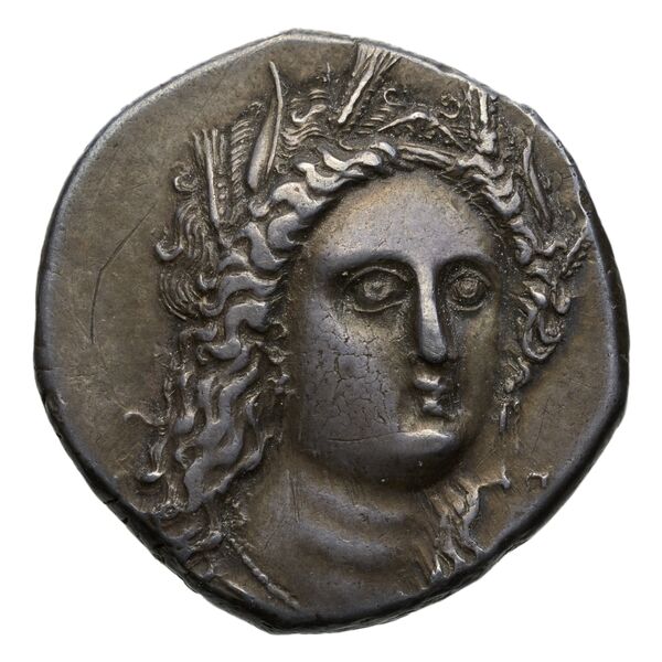 аверс Metapontum Historia Numorum Italy 1584