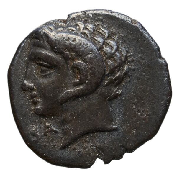 аверс Metapontum Historia Numorum Italy 1601