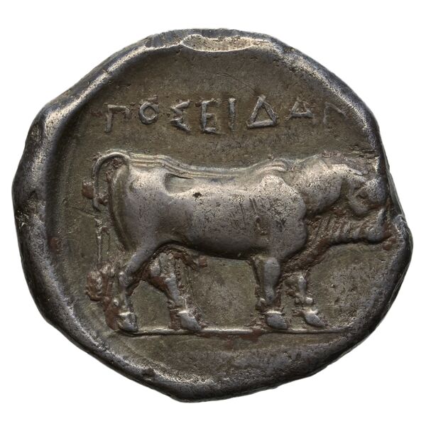 Poseidonia Historia Numorum Italy 1129-39, реверс, BnF (IRIS)