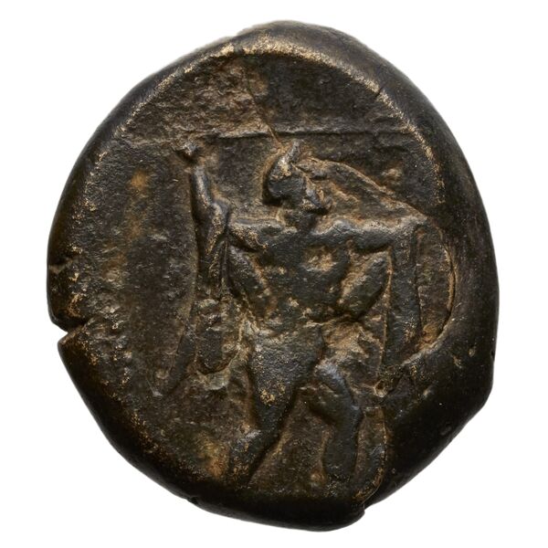 Poseidonia Historia Numorum Italy 1171-9, аверс, BnF (IRIS)