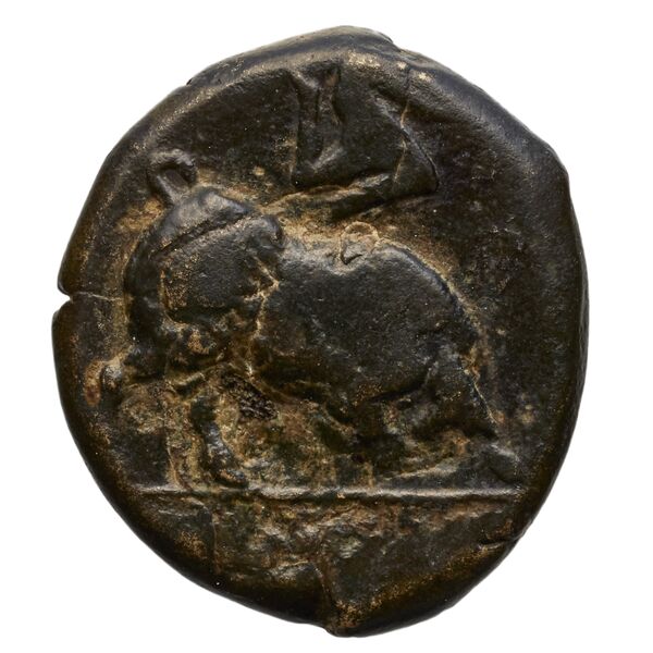Poseidonia Historia Numorum Italy 1171-9, реверс, BnF (IRIS)