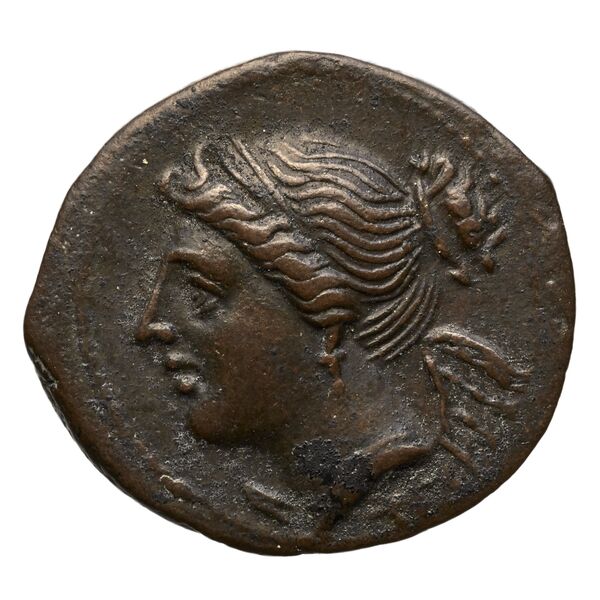Brettii Bruttium Historia Numorum Italy 1989, аверс, bnf-iris