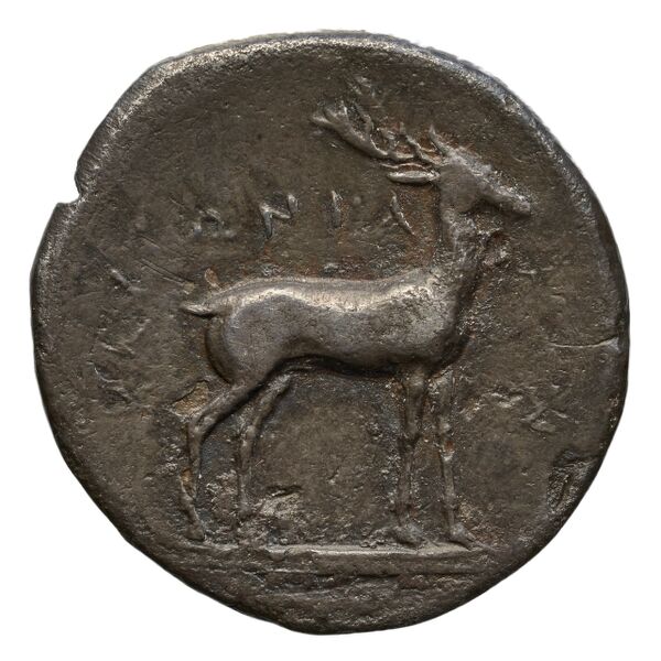 реверс Caulonia Historia Numorum Italy 2062-2063