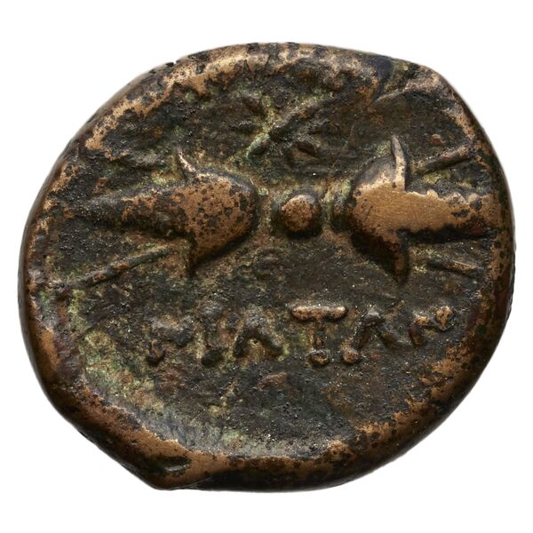 реверс Croton Historia Numorum Italy 2236