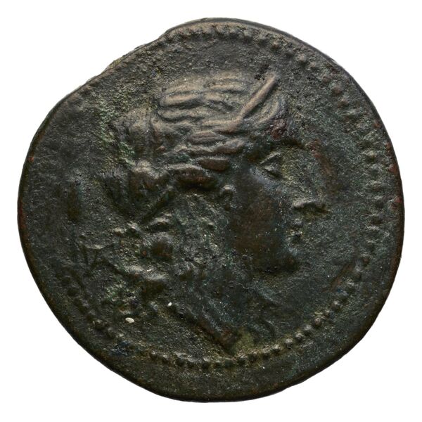 Locri Epizephyrii Historia Numorum Italy 2376-2378, аверс, BnF (IRIS)