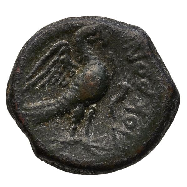 реверс Locri Epizephyrii Historia Numorum Italy 2407