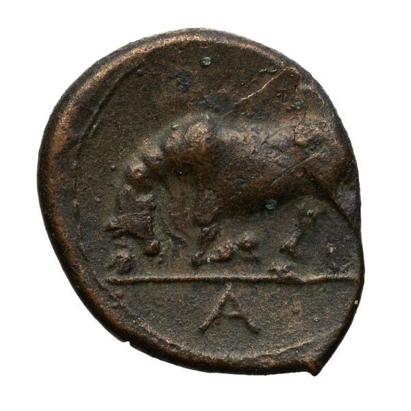 реверс (H)aluntium Puglisi 2009 58