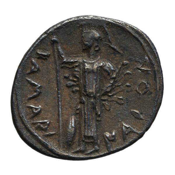 Camarina Westermark and Jenkins 1980 10-129, аверс, bnf-iris