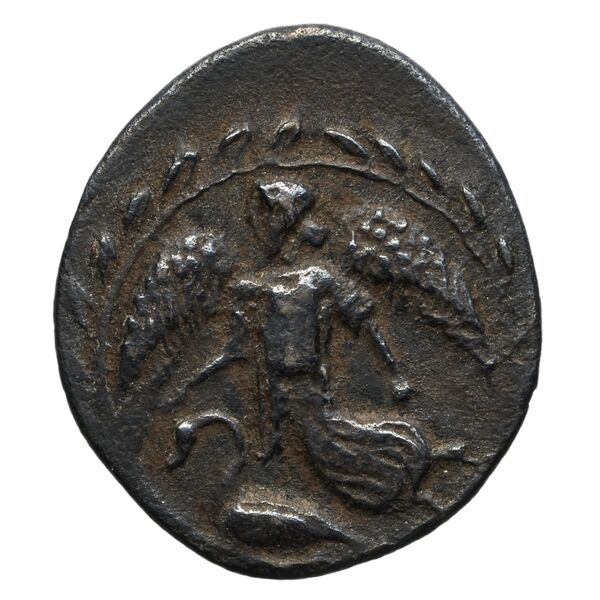 Camarina Westermark and Jenkins 1980 10-129, реверс, bnf-iris