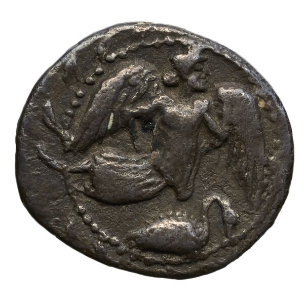 Camarina Westermark and Jenkins 1980 10-129, реверс, bnf-iris