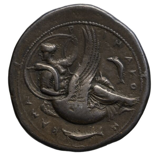 Camarina Westermark and Jenkins 1980 158-166, реверс, bnf-iris