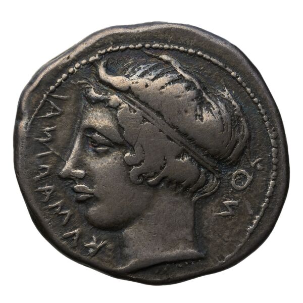 Camarina Westermark and Jenkins 1980 158-166, аверс, bnf-iris
