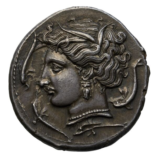 аверс Carthaginian Empire Carthage Jenkins 1977 Carthage series 3