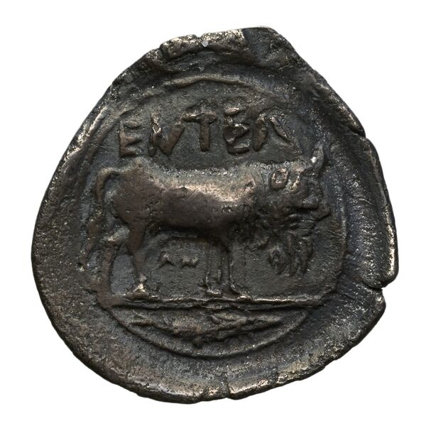 реверс Entella SNG ANS 1339