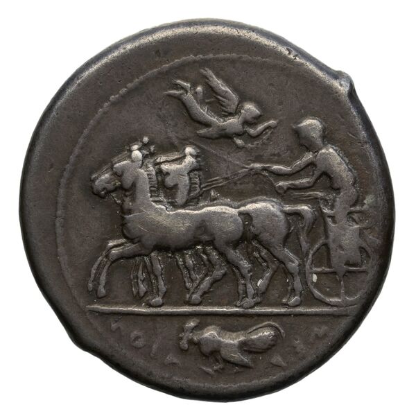 Himera SNG ANS 165, реверс, BnF (IRIS)