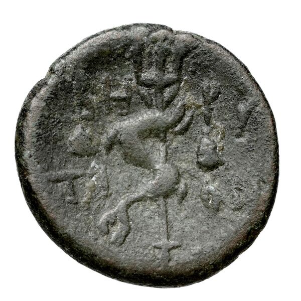 Berytus BMC Berytus 11-23, реверс, bnf-iris