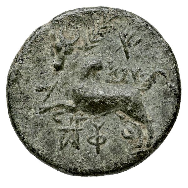 Aradus Duyrat 2005 4422-4602, реверс, bnf-iris
