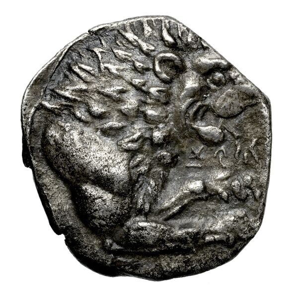 Amathus BMC Amathus 9, реверс, bnf-iris