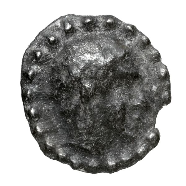 Euagoras I Salamis BMC Salamis 45-48, аверс, bnf-iris