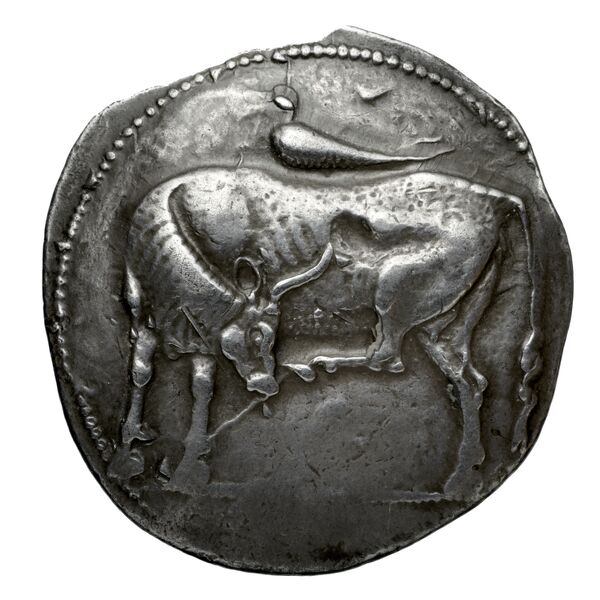 obverse Eretria Babelon 1907 1069-1070