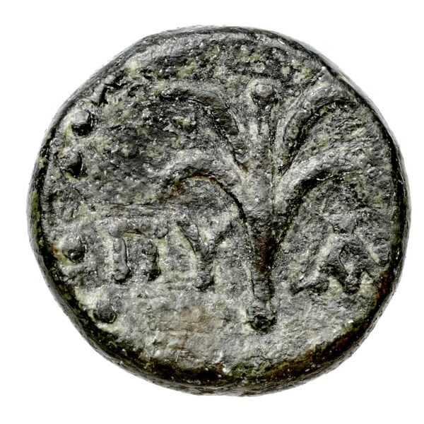 реверс Seleuceia ad Calycadnum SNG Levante 699-700