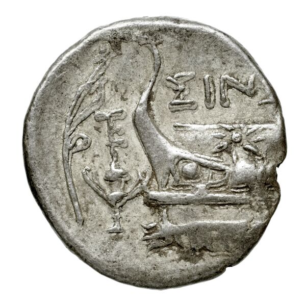 Sinope Waddington 1925 42-3, реверс, bnf-iris