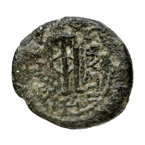 реверс Caystriani Paris M4932